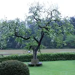 Huize Koempoelan 4* Naarden