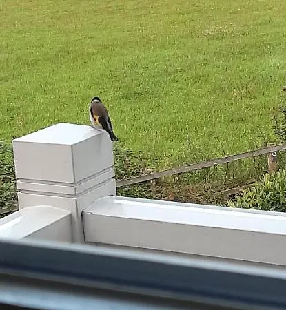 Huize Koempoelan Bed & Breakfast 4*