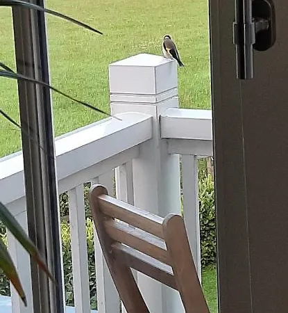 Huize Koempoelan Bed & Breakfast