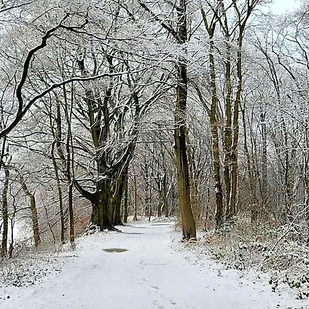 Huize Koempoelan 4* Naarden