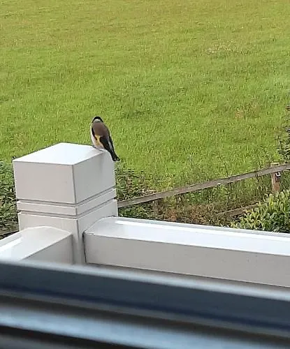 Huize Koempoelan Bed & Breakfast 4*