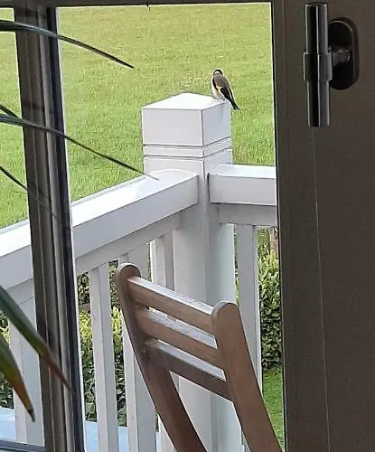 Huize Koempoelan Bed & Breakfast