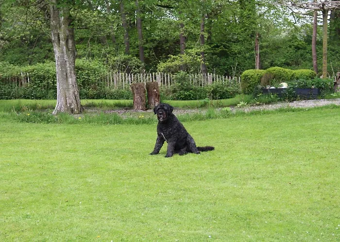 Huize Koempoelan Bed & Breakfast